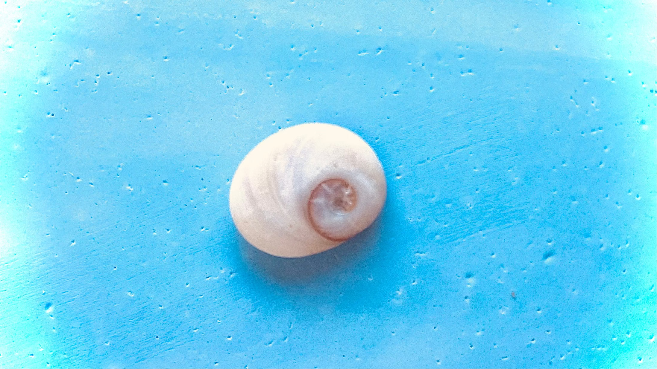 L’Œil de Sainte-Lucie : porte-bonheur corse & inspiration méditerranéenne