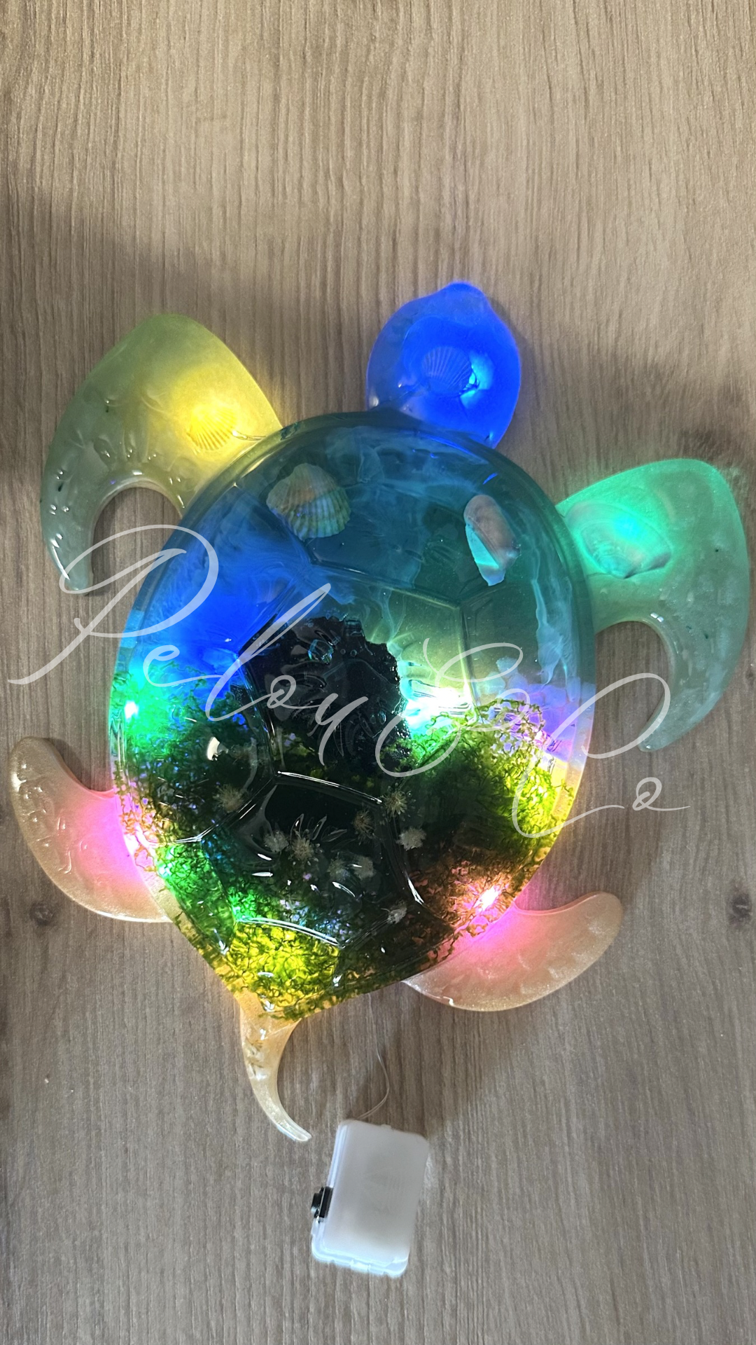 Veilleuse tortue avec immortelle de Corse, gypsophile, coquillages et guirlande LED intégrée.