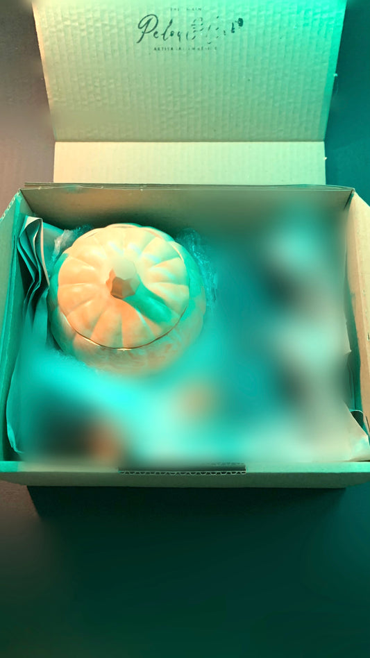 Grande Box Halloween Pelou&Co – Citrouille XXL en résine artisanale avec surprises mystères