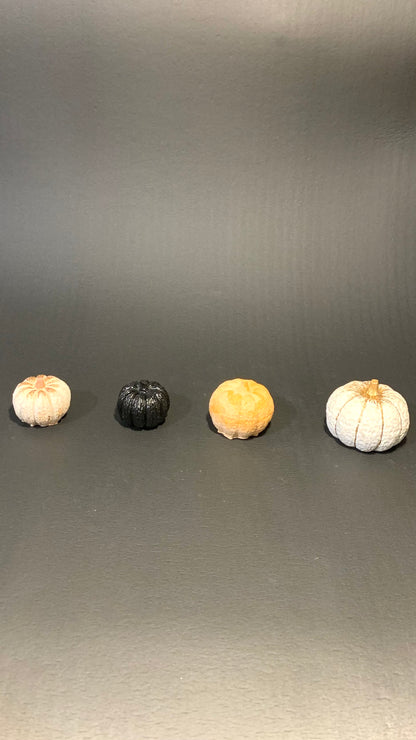 Petite Box Halloween Pelou&Co – Lot de 3 citrouilles en résine avec surprises artisanales
