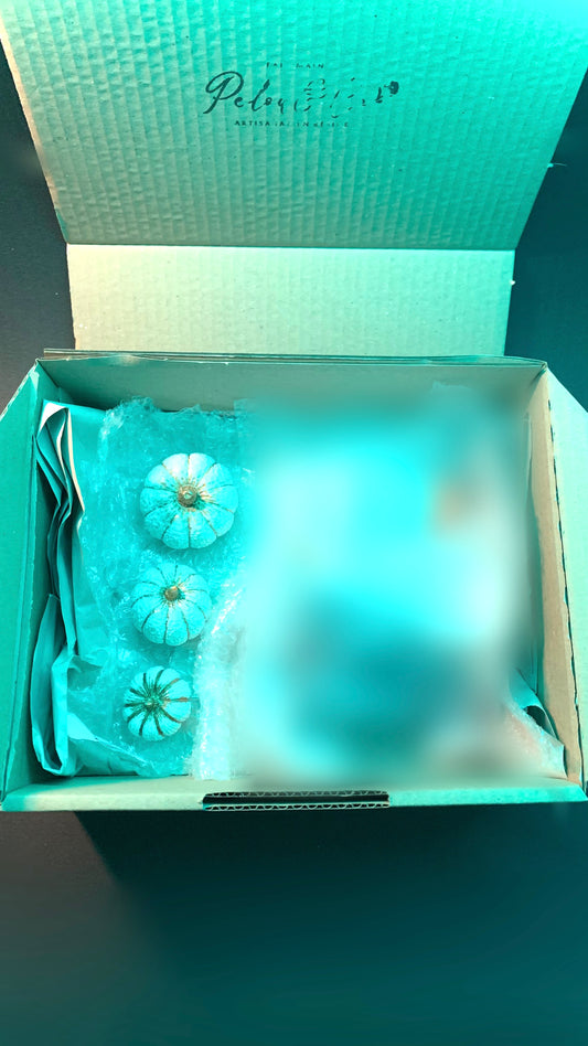 Petite Box Halloween Pelou&Co – Lot de 3 citrouilles en résine avec surprises artisanales